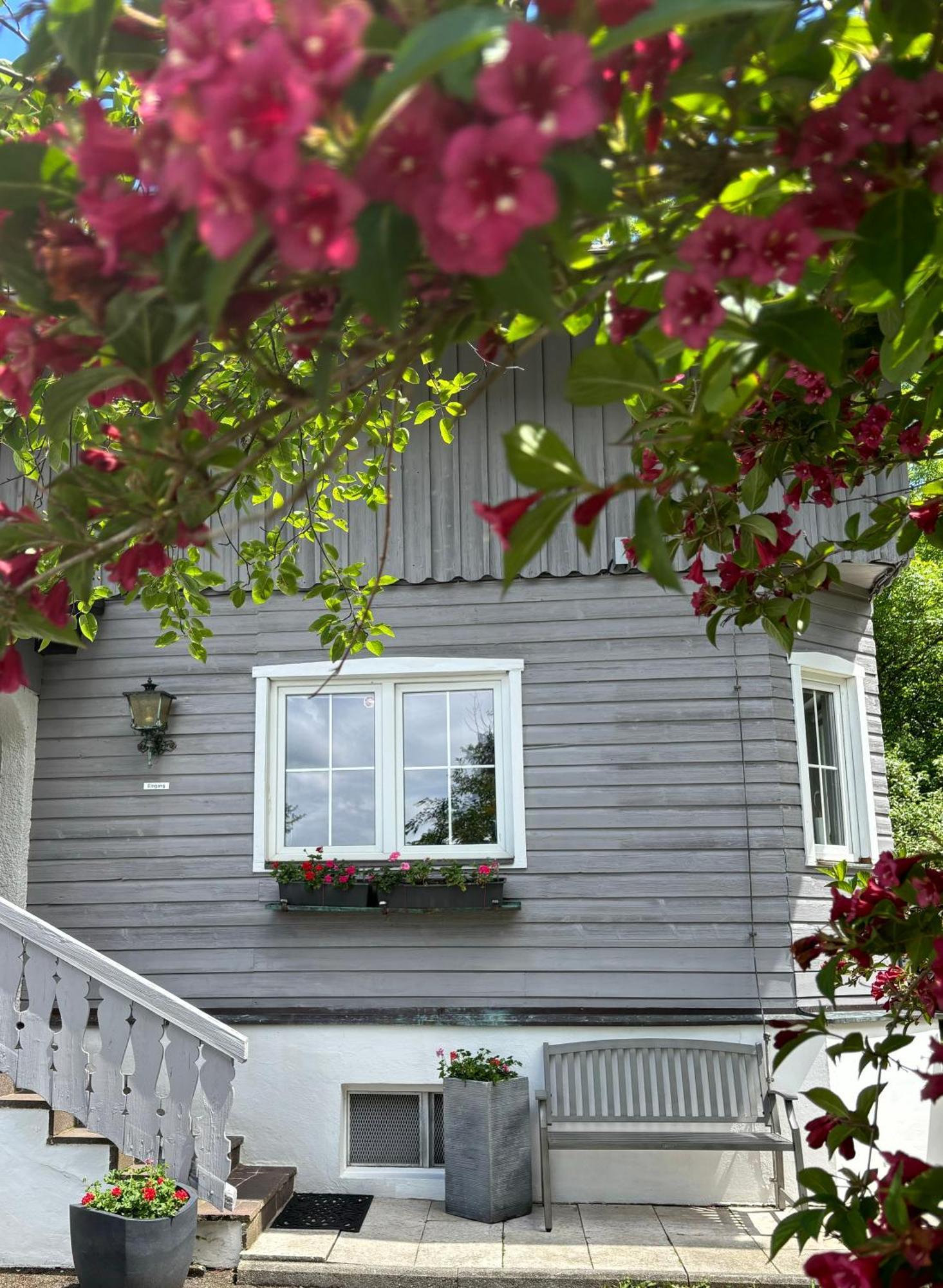 Haus Sonnenblick- Apartments Starnberg Exteriér fotografie